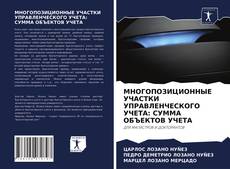 Portada del libro de МНОГОПОЗИЦИОННЫЕ УЧАСТКИ УПРАВЛЕНЧЕСКОГО УЧЕТА: СУММА ОБЪЕКТОВ УЧЕТА