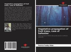 Vegetative propagation of fruit trees, case of Safoutier的封面