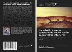 Buchcover von Un estudio espacial comparativo de los suelos de los valles interiores