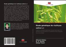 Обложка Étude génétique du riz(Oryza sativa L.)