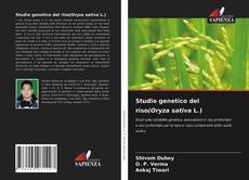 Studio genetico del riso(Oryza sativa L.)的封面