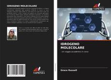 IDROGENO MOLECOLARE的封面