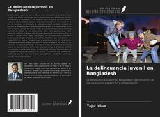 Обложка La delincuencia juvenil en Bangladesh
