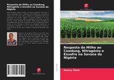 Copertina di Resposta do Milho ao Cowdung, Nitrogénio e Enxofre na Savana da Nigéria