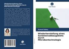 Обложка Wiederherstellung eines Sandsteinabbaugebiets durch Mikrobentechnologie