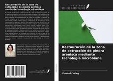 Capa do livro de Restauración de la zona de extracción de piedra arenisca mediante tecnología microbiana 