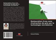 Обложка Restauration d'une zone d'extraction de grès par la technologie microbienne
