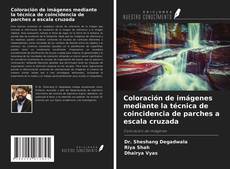 Обложка Coloración de imágenes mediante la técnica de coincidencia de parches a escala cruzada