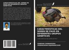 Обложка CARACTERÍSTICAS DEL SEMEN DE PAVO EN DIFERENTES GRUPOS GENÉTICOS