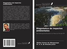 Обложка Diagnóstico de impactos ambientales