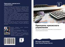 Обложка Принципы кризисного управления
