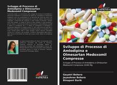 Copertina di Sviluppo di Processo di Amlodipina e Olmesartan Medoxomil Compresse