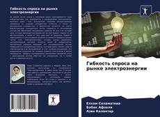 Гибкость спроса на рынке электроэнергии kitap kapağı