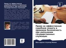 Право на эффективную судебную защиту и правовую безопасность при увольнении государственных служащих kitap kapağı