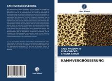 Обложка KAMMVERGRÖSSERUNG