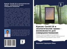 Bookcover of Кризис Covid-19 и экологическое право - возможности для совершенствования