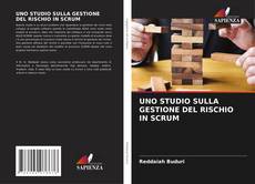 UNO STUDIO SULLA GESTIONE DEL RISCHIO IN SCRUM的封面