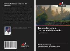 Trasmutazione e funzione del cervello的封面