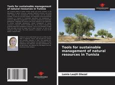 Tools for sustainable management of natural resources in Tunisia的封面