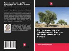 Buchcover von Ferramentas para a gestão sustentável dos recursos naturais na Tunísia