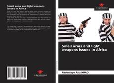 Small arms and light weapons issues in Africa的封面