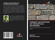 Copertina di Indagine sperimentale sul calcestruzzo permeabile