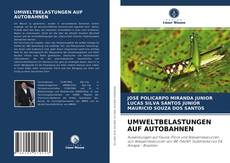 UMWELTBELASTUNGEN AUF AUTOBAHNEN kitap kapağı