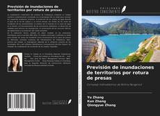 Обложка Previsión de inundaciones de territorios por rotura de presas