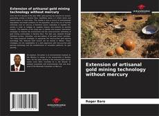 Copertina di Extension of artisanal gold mining technology without mercury