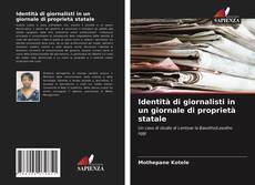 Identità di giornalisti in un giornale di proprietà statale的封面