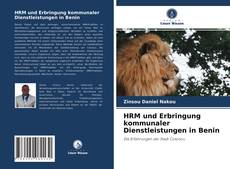 HRM und Erbringung kommunaler Dienstleistungen in Benin kitap kapağı