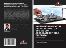 PRESTAZIONI DI LASTRE DI CALCESTRUZZO A DUE VIE CON AGGREGATI DI PIETRA CALCAREA的封面