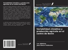 Обложка Variabilidad climática y producción agrícola en el centro de Benín