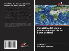 Portada del libro de Variabilità del clima e produzione agricola nel Benin centrale