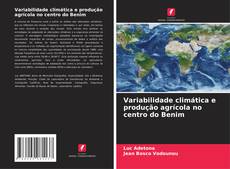 Couverture de Variabilidade climática e produção agrícola no centro do Benim