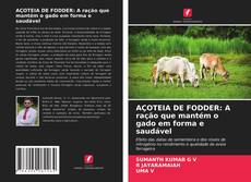 Bookcover of AÇOTEIA DE FODDER: A ração que mantém o gado em forma e saudável