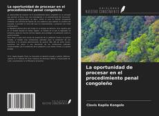 Copertina di La oportunidad de procesar en el procedimiento penal congoleño