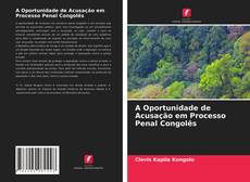 A Oportunidade de Acusação em Processo Penal Congolês kitap kapağı