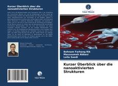 Bookcover of Kurzer Überblick über die nanoaktivierten Strukturen