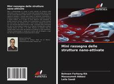 Copertina di Mini rassegna delle strutture nano-attivate