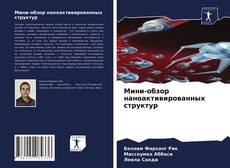 Couverture de Мини-обзор наноактивированных структур