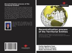 Decentralization process of the Territorial Entities的封面