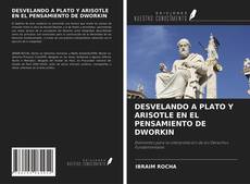 Copertina di DESVELANDO A PLATO Y ARISOTLE EN EL PENSAMIENTO DE DWORKIN