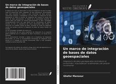 Copertina di Un marco de integración de bases de datos geoespaciales