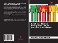 Copertina di Small and Medium Enterprises and Job Creation in Cameroon