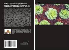 Bookcover of Estimación de las pérdidas de producción debidas al laboreo en caballones en el sector de Busogo