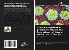 Copertina di Stima delle perdite di produzione dovute alla lavorazione del terreno nel settore di Busogo