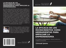 LA EFICACIA DE LOS MICROCRÉDITOS COMO HERRAMIENTAS PARA IMPULSAR LA EMPRENDEDURÍA kitap kapağı