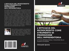 L'EFFICACIA DEL MICROCREDITO COME STRUMENTO DI PROMOZIONE DELL'IMPRENDITORIA的封面