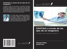 Copertina di COVITALE a través de los ojos de un imaginero